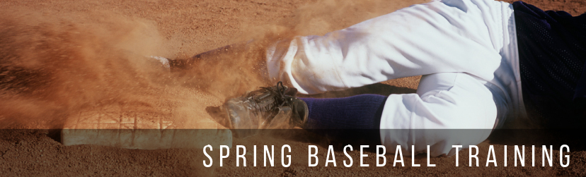 Spring Baseball Training